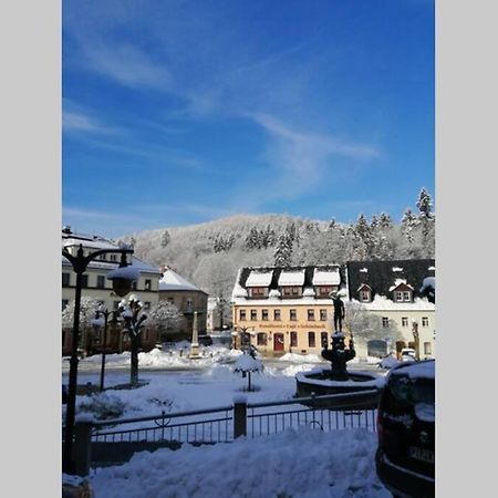 Quartier Am Markt- Ferienwohnung Bad Gottleuba-Berggiesshuebel Экстерьер фото