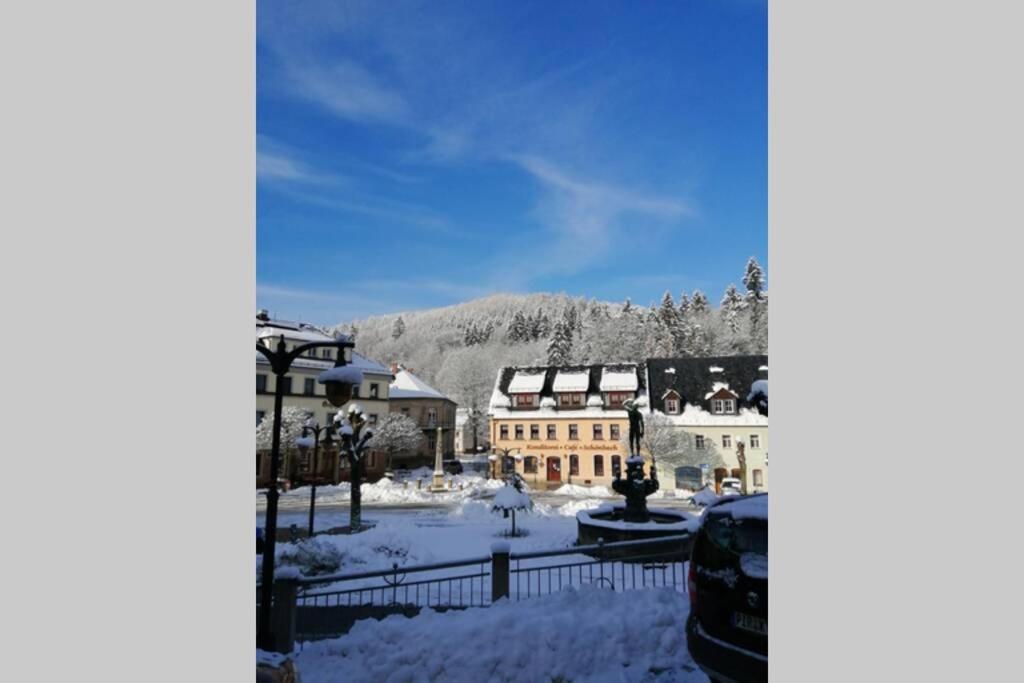 Quartier Am Markt- Ferienwohnung Bad Gottleuba-Berggiesshuebel Экстерьер фото